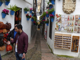 P1000985