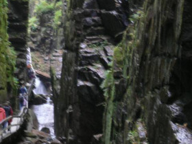 P1000540