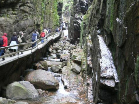 P1000541