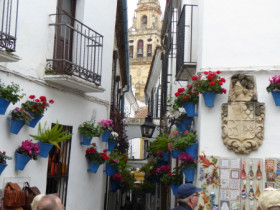 P1000987