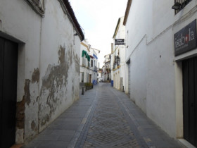 P1000972