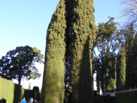 P1000942